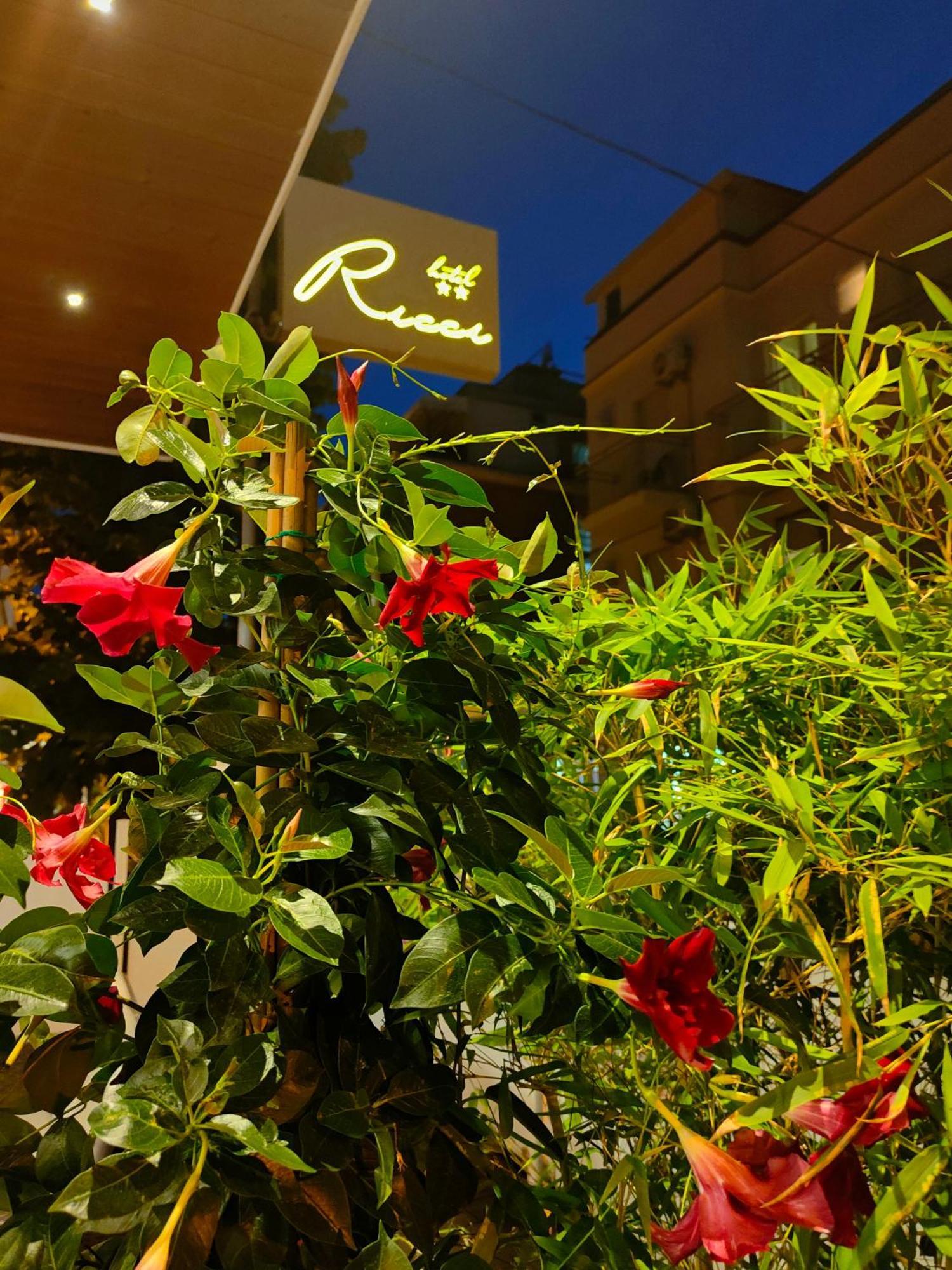Hotel Ricci Rimini Dış mekan fotoğraf